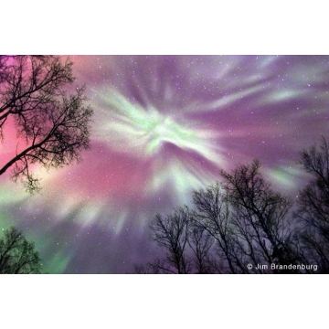 Photo art : Northern lights by Jim Brandenburg