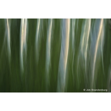 Photo art : Impressionism by Jim Brandenburg