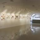Ansel Adams photo exhibit